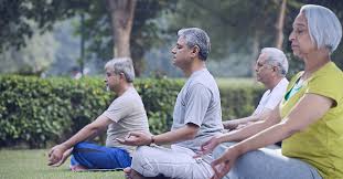 Panchkula Wellness Society - Park Yoga & Breath Alignment